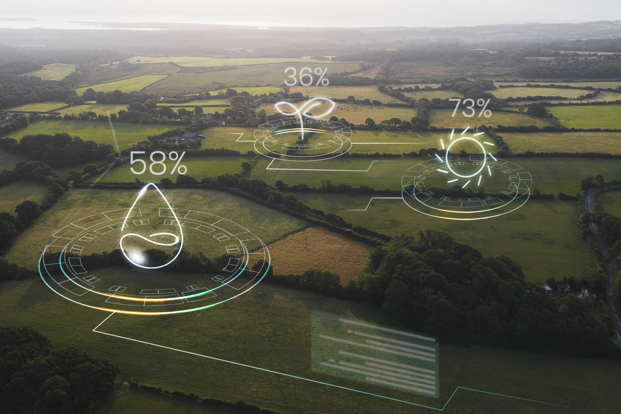 How technology is revolutionizing food production